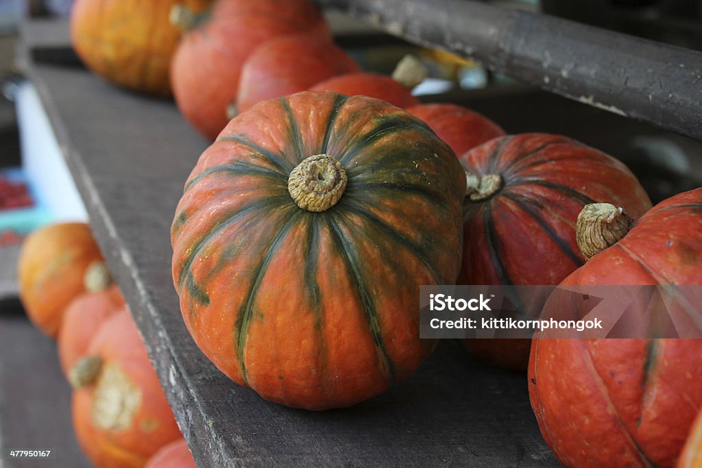 El naranja calabaza. - Foto de stock de Agricultura libre de derechos