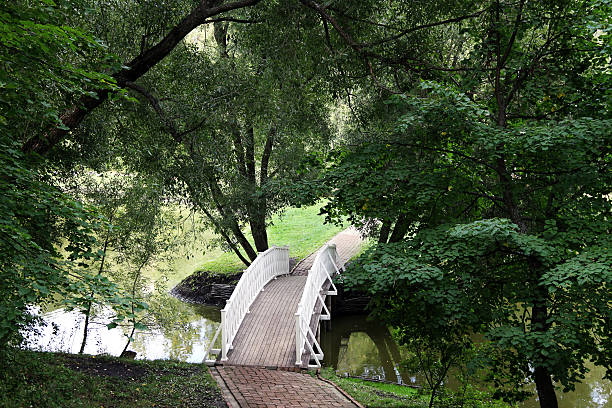 istock Footbridge across the pond 477951223