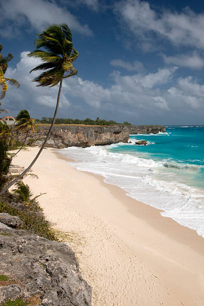 istock Beach of Barbados island, Caribbean 477952578