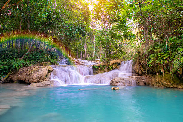 istock Waterfall in rain forest (Tat Kuang Si Waterfalls at Laos. 477953006