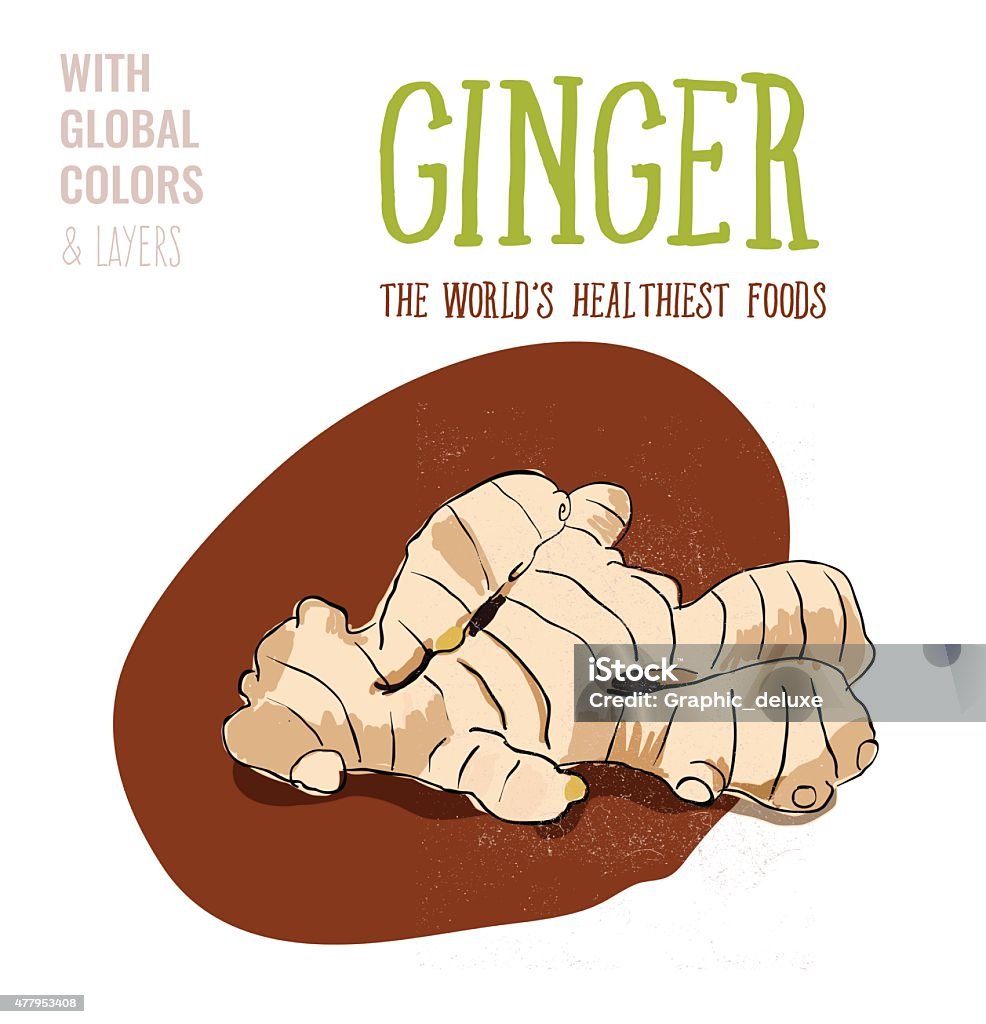 Ginger Ginger. Vector illustration Eps10 file. Global colors&layers. 2015 stock vector
