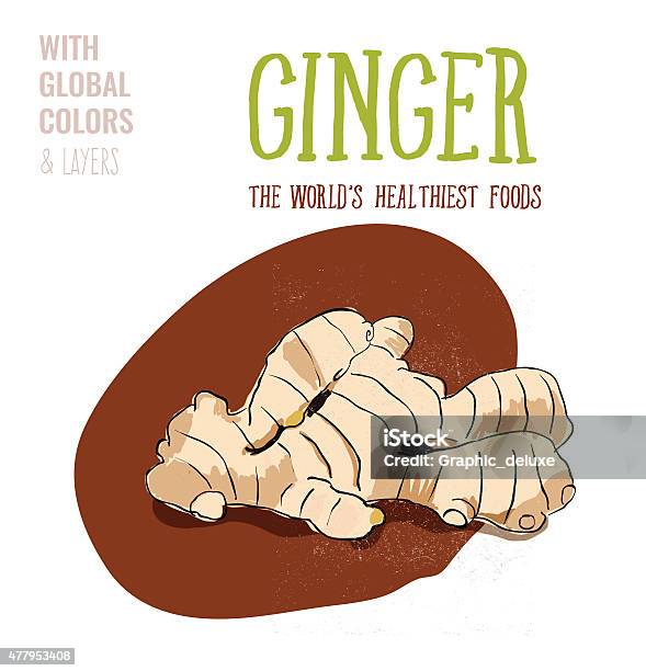 Ginger Stock Illustration - Download Image Now - 2015, Alternative Medicine, Asian Food