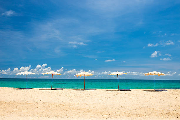 istock beach umbrella on beach with blue sky, phuket thailand 477955998