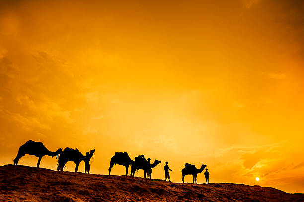 cammello caravan - india travel journey camel foto e immagini stock