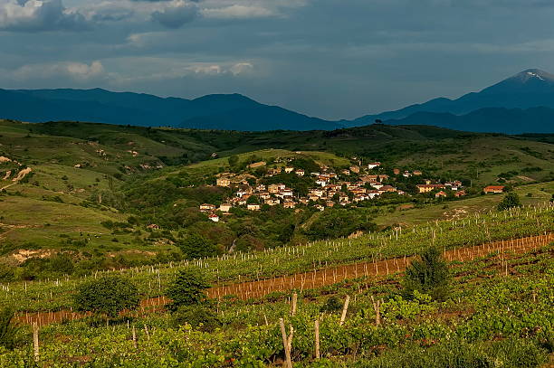 Village in the wine making region of Melnik Village in the wine making region of Melnik, Bulgaria, Europe blagoevgrad province photos stock pictures, royalty-free photos & images