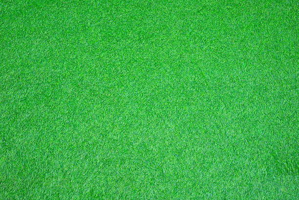 artificial grass stock photo