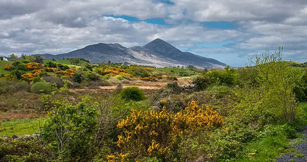 Picture taken in Ireland, Europe