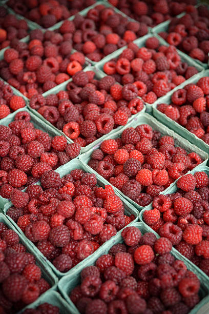 Raspberry: Fruits at Farmers market in Toronto, Canada.