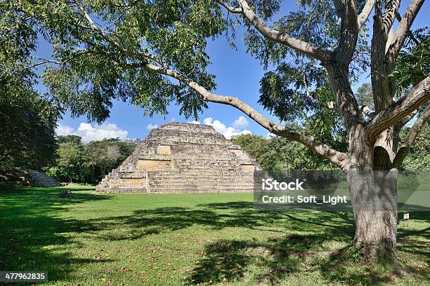 Grande Árvore E Pirâmide Em El Ponte Parque Arqueológico De Honduras - Fotografias de stock e mais imagens de Ruínas de Copan