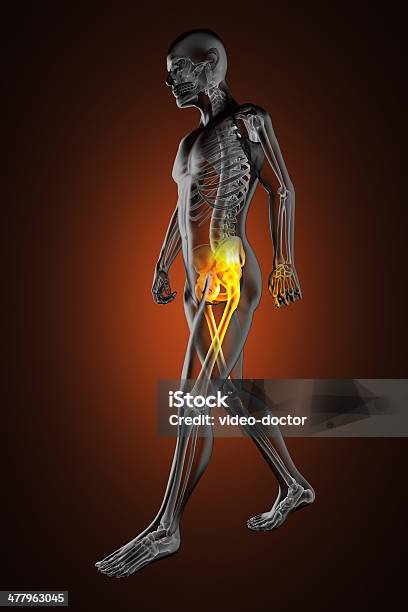 Uomo A Piedi Di Radiografie - Fotografie stock e altre immagini di Adulto - Adulto, Anatomia umana, Artrite