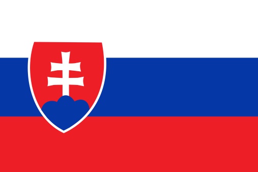 Official flag of Slovakia nation