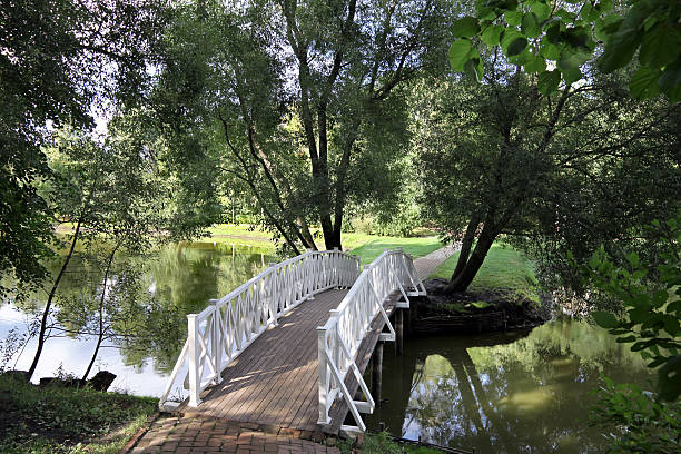 istock Footbridge across the pond 477967411