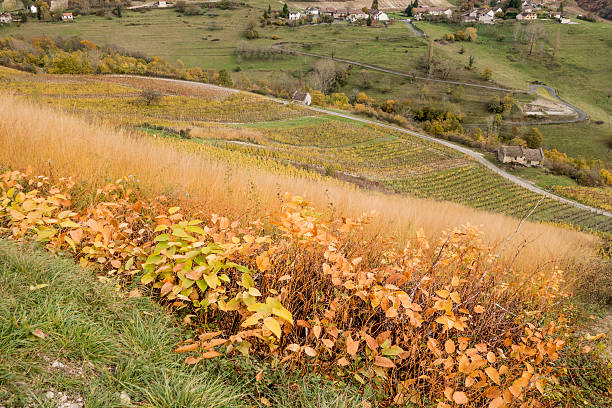 istock Landscape of Bugey 477968988