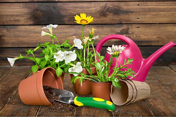 istock Gardening Equipment, Flower Pot, Flower 477969526