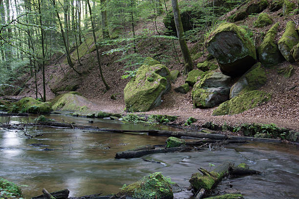 istock Karlstal,Trippstadt,Germany 477969674