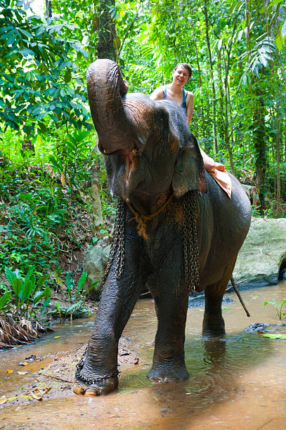 istock Woman riding on an elephant 477970115
