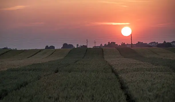 Beautiful sunset over the fields