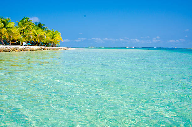 istock Paradise Beach on beautiful island South Water Caye - Belize 477974040