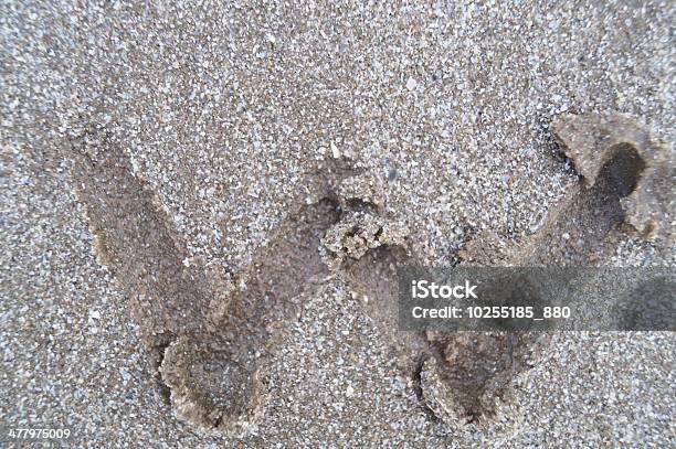 W Letter On Beach Stock Photo - Download Image Now - Abstract, Alphabet, Beach