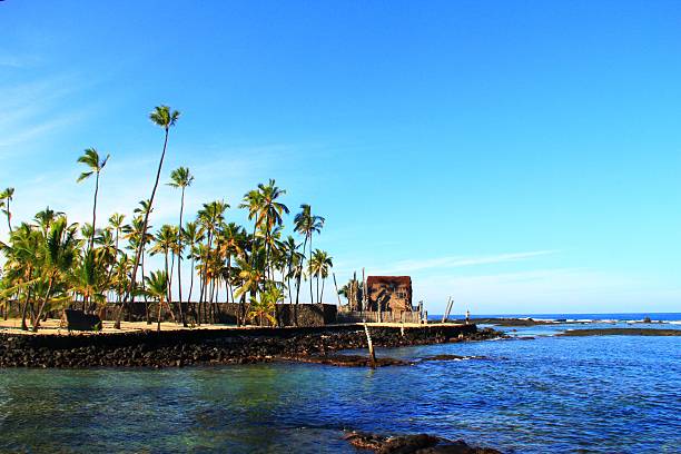 istock Hawaii Beach and Coconut Palm Trees 477979005