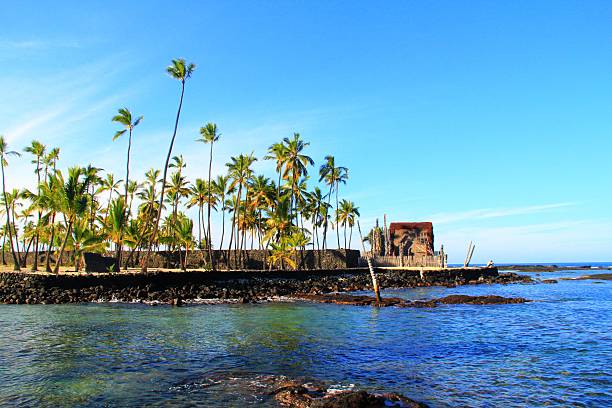 istock Hawaii Beach and Coconut Palm Trees 477979013