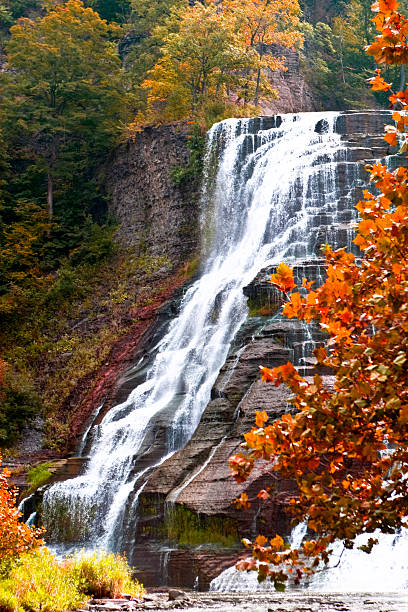 istock Finger lakes region waterfall in the autumn 477979201