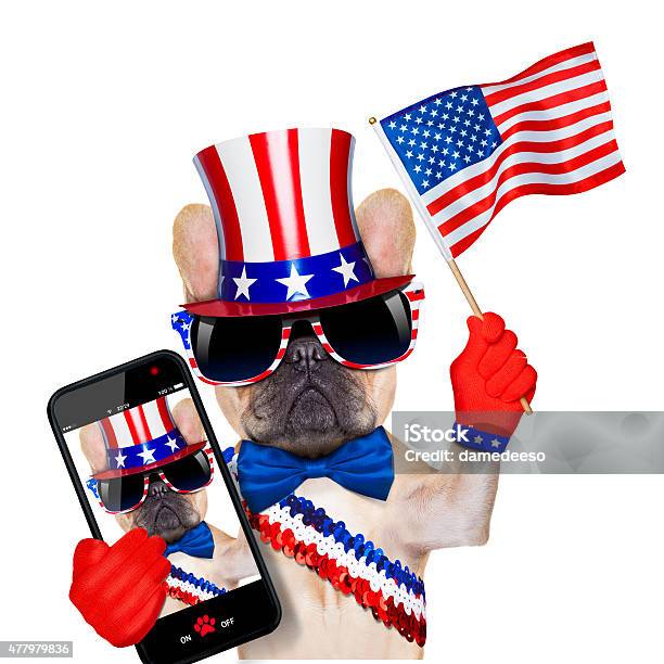 4th Oh July Dog Stock Photo - Download Image Now - Fourth of July, Camera - Photographic Equipment, Pets