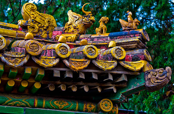 dragon, ubicado en el último piso - zijin cheng fotografías e imágenes de stock