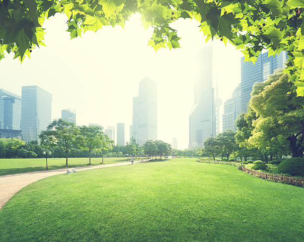 istock park in  lujiazui financial centre, Shanghai, China 477980232