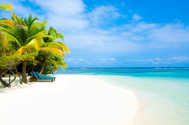 istock Paradise Beach on beautiful island 477981060
