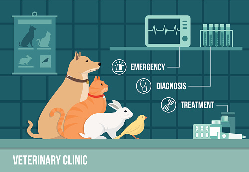 Veterinary clinic banner with dog, cat, rabbit, bird, medical equipment, drugs and icons set