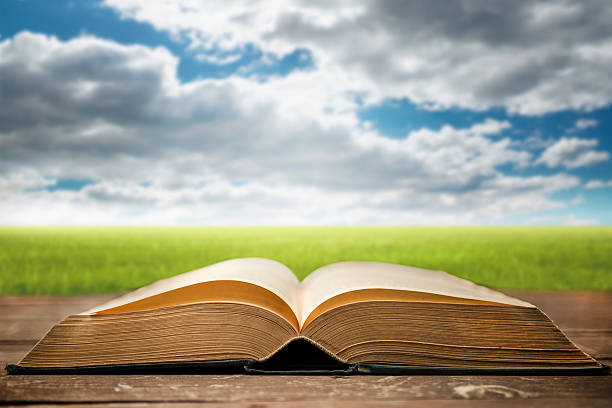 istock Antique open book with defocused nature background 477985214