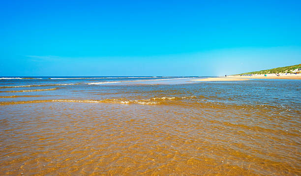 istock Beach along the North Sea in spring 477985298