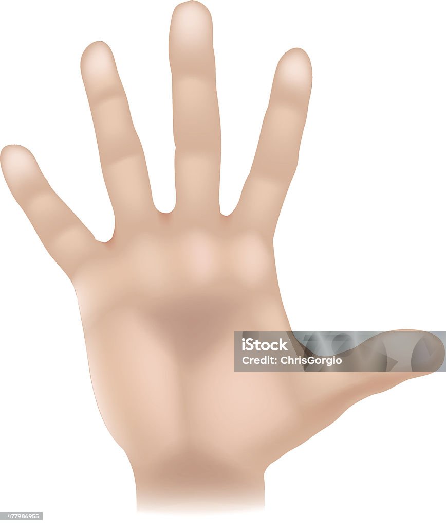 Hand body part Illustrationen - Lizenzfrei Aufgefächert Vektorgrafik