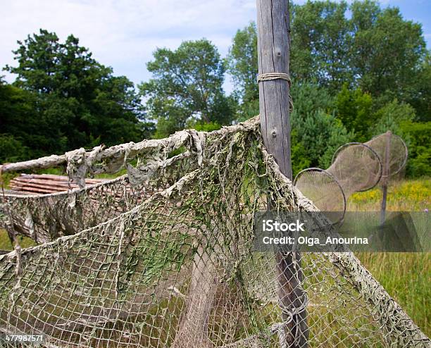 Pesca De Los Net Foto de stock y más banco de imágenes de Agujero - Agujero, Aire libre, Alga