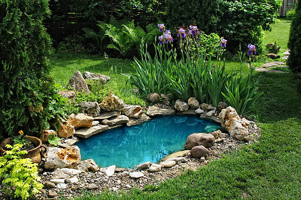 istock small pond in the garden 477988085