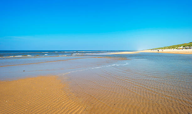 istock Beach along the North Sea in spring 477989560