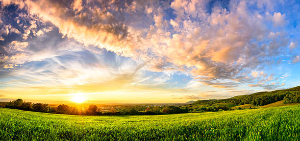 panorama du coucher de soleil coloré sur une verte prairie - sunlight summer grass landscaped photos et images de collection