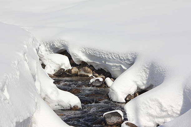 Flowing Water of an Alpine brook in a scenery of frozen water.