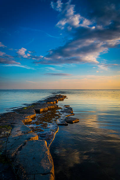 istock Golden sunlight illuminates a ledge at Kimmeridge 477994114