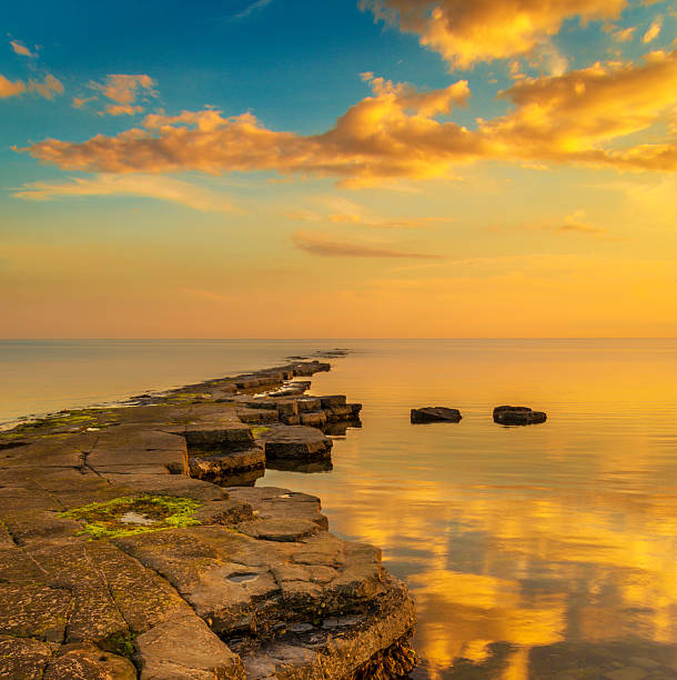 istock Golden sunlight illuminates a ledge at Kimmeridge 477994128