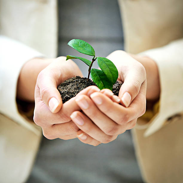 istock Nurture your business 477995022