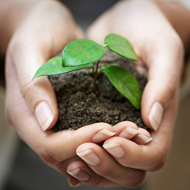 istock Nurture your business 477995024