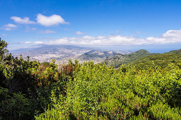 istock Landscape on the island Tenerife. 477995890