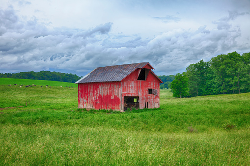 A classic red barn stands along in the grassy hills of a farm in Eastern Ohilo.