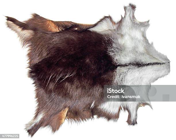 Chamois Leather Stock Photo - Download Image Now - Rug, Animal Skin, Animal