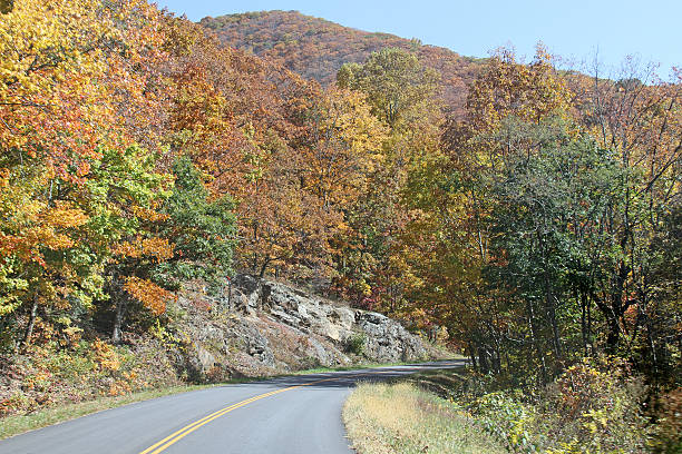 istock Blue Ridge Parkway in Autumn 477997123
