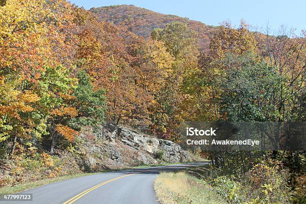 Blue Ridge Parkway W Jesiennym - zdjęcia stockowe i więcej obrazów Appalachy - Appalachy, Blue Ridge Parkway, Droga