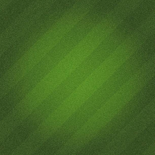 Green grass soccer field background stock photo