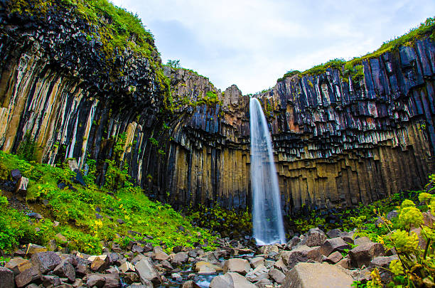 istock Svartifoss Waterfall in Iceland 477999806